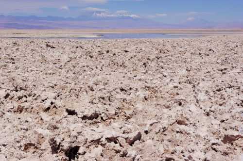 TREKKING NEL DESERTO DI ATACAMA 2015